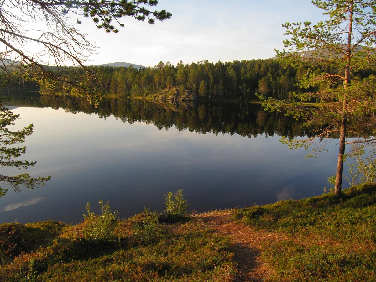 Malangen Lodge Mestervik 외부 사진