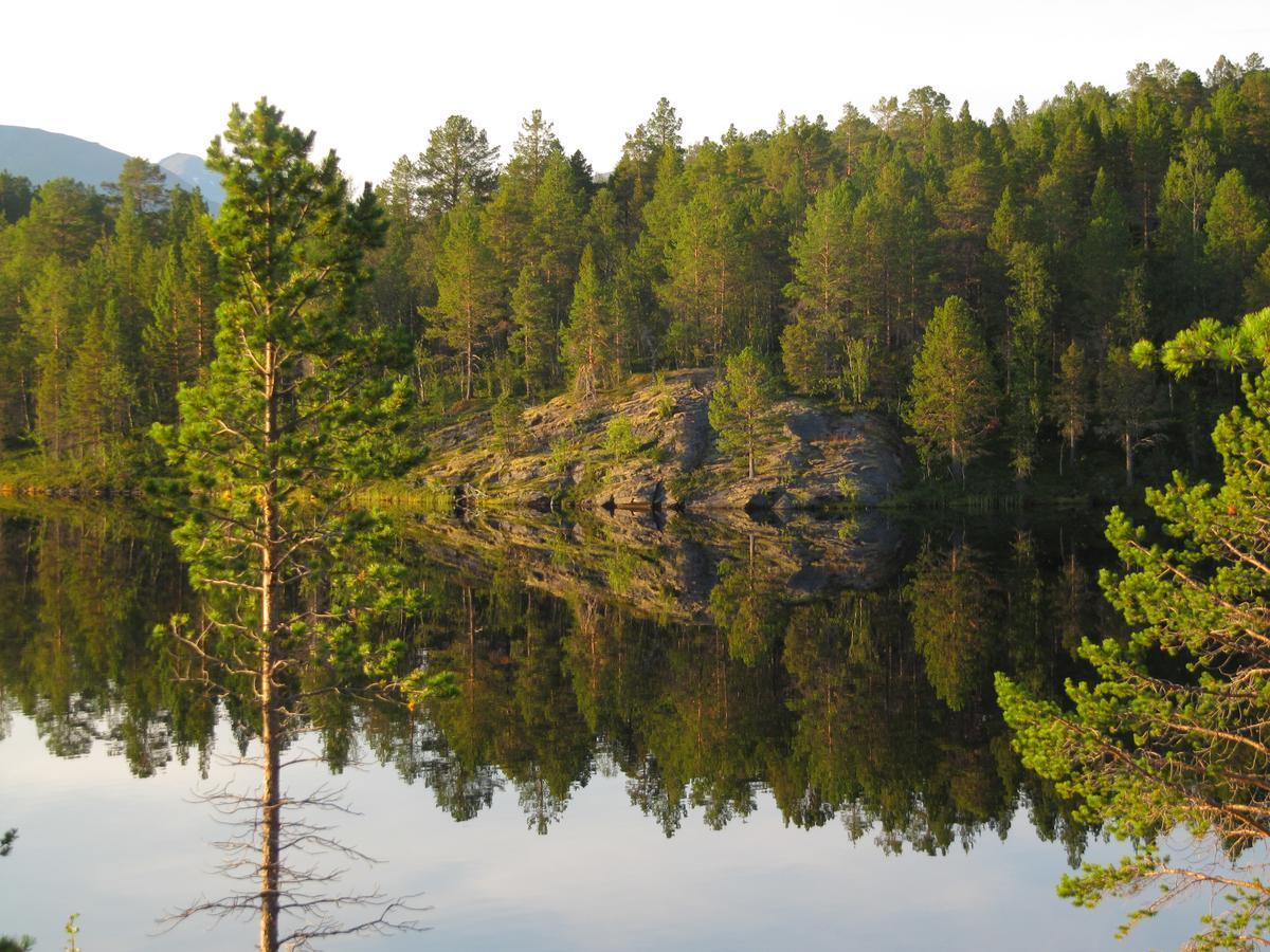 Malangen Lodge Mestervik 외부 사진