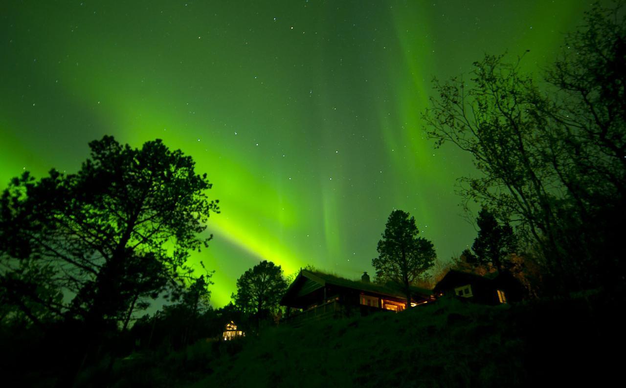 Malangen Lodge Mestervik 외부 사진