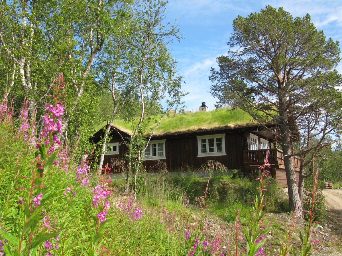 Malangen Lodge Mestervik 외부 사진